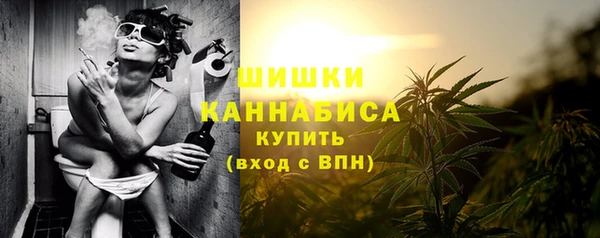 шишки Баксан