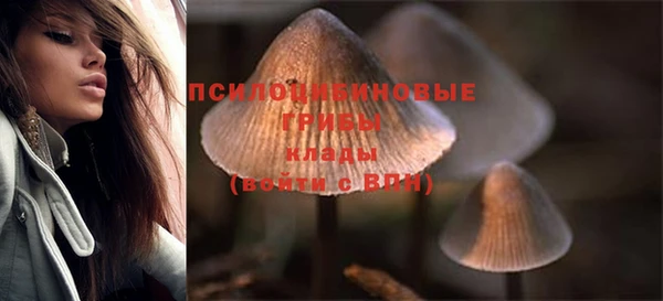 спиды Армянск