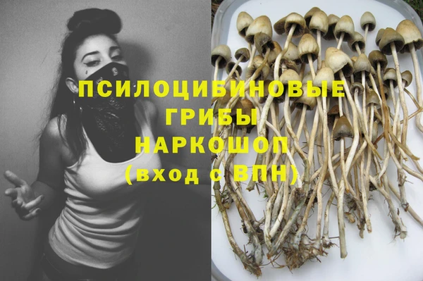 шишки Баксан