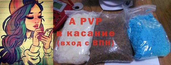 шишки Аркадак