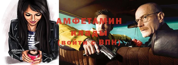 шишки Баксан