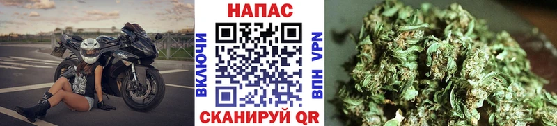 как найти   блэк спрут как войти  Бошки марихуана план  Похвистнево 